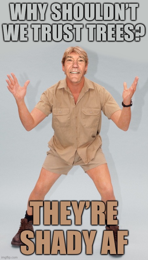 Bad Pun Attention Template | Why shouldn’t we trust trees? They’re shady af | image tagged in kewlew | made w/ Imgflip meme maker