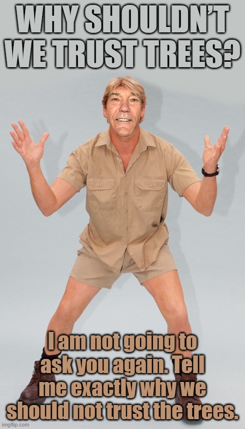 bored | Why shouldn’t we trust trees? I am not going to ask you again. Tell me exactly why we should not trust the trees. | image tagged in kewlew,remix | made w/ Imgflip meme maker