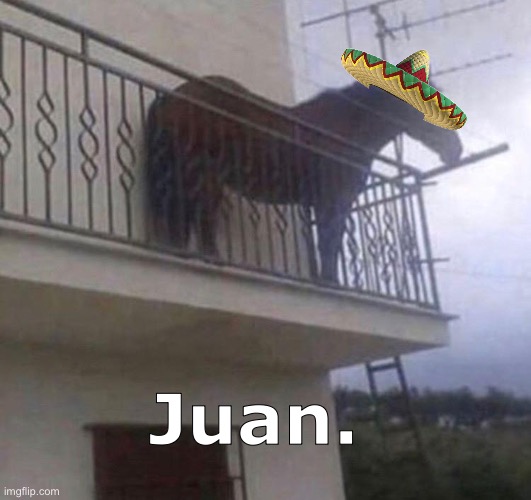 This horse entered my country with no papers | Juan. | image tagged in juan,horse,memes,bruh | made w/ Imgflip meme maker