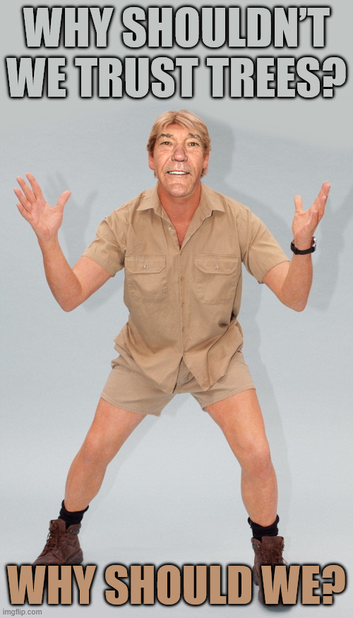 kewlew | Why shouldn’t we trust trees? Why should we? | image tagged in kewlew,remix | made w/ Imgflip meme maker