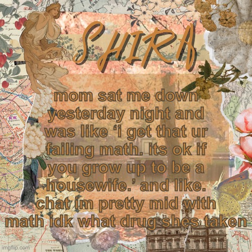 shira’s sweet temp | mom sat me down yesterday night and was like ‘i get that ur failing math. its ok if you grow up to be a housewife.’ and like. chat im pretty mid with math idk what drug shes taken | image tagged in shira s sweet temp | made w/ Imgflip meme maker