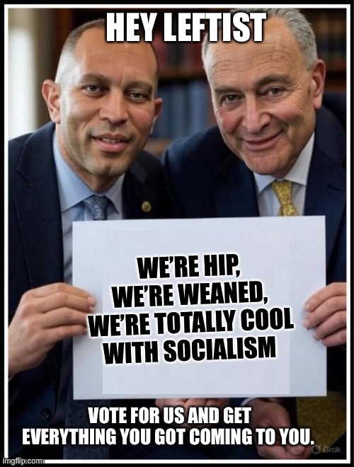 Promising anything & everything to regain power | Hey leftist; We’re hip, we’re weaned, we’re totally cool with socialism; Vote for us and get everything you got coming to you. | image tagged in hakeem jeffries chuck schumer sign | made w/ Imgflip meme maker