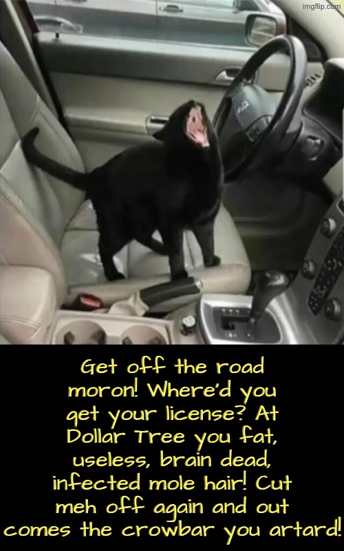 Road Raging Kitteh | Get off the road moron! Where'd you get your license? At Dollar Tree you fat, useless, brain dead, infected mole hair! Cut meh off again and out comes the crowbar you artard! | image tagged in cats,funny cats,road rage,bad drivers,insults,screaming | made w/ Imgflip meme maker