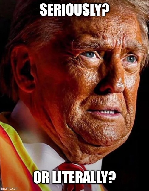 Seriously? Or literally? | made w/ Imgflip meme maker