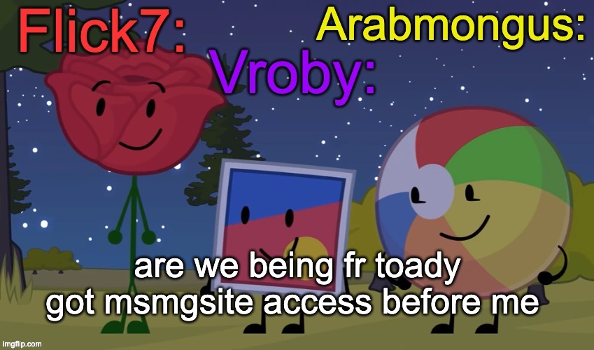 ik she got banned but still | are we being fr toady got msmgsite access before me | image tagged in flick7 vroby arab shared temp | made w/ Imgflip meme maker