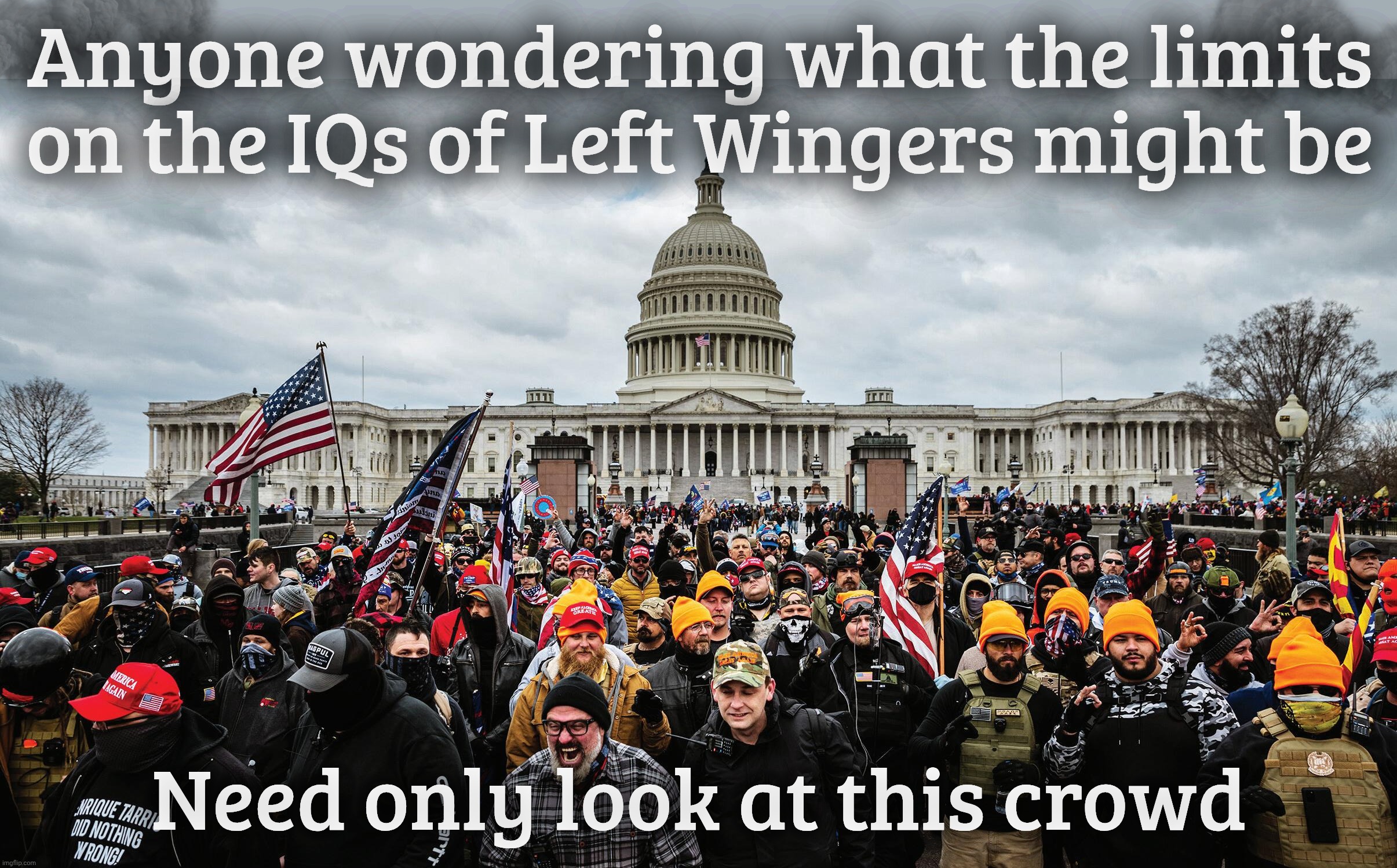 MAGAts calling Lefties, morons. Because irony is one slippery itch,,, | Anyone wondering what the limits
on the IQs of Left Wingers might be; Need only look at this crowd | image tagged in january 6th capitol hill  rioters,low iq low brows,trailer park trash,not many phd neckbeards,bottom of the barrel stupidity | made w/ Imgflip meme maker