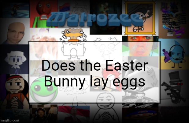Matrozee Template V2 | Does the Easter Bunny lay eggs | image tagged in matrozee template v2 | made w/ Imgflip meme maker