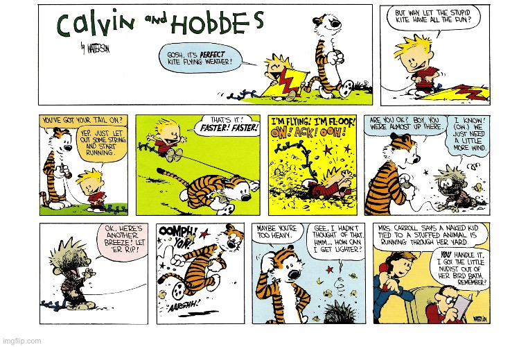 image tagged in calvin and hobbes,comics | made w/ Imgflip meme maker