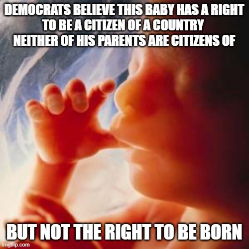 DEMOCRATS BELIEVE THIS BABY HAS A RIGHT
TO BE A CITIZEN OF A COUNTRY 
NEITHER OF HIS PARENTS ARE CITIZENS OF BUT NOT THE RIGHT TO BE BORN | image tagged in fetus | made w/ Imgflip meme maker