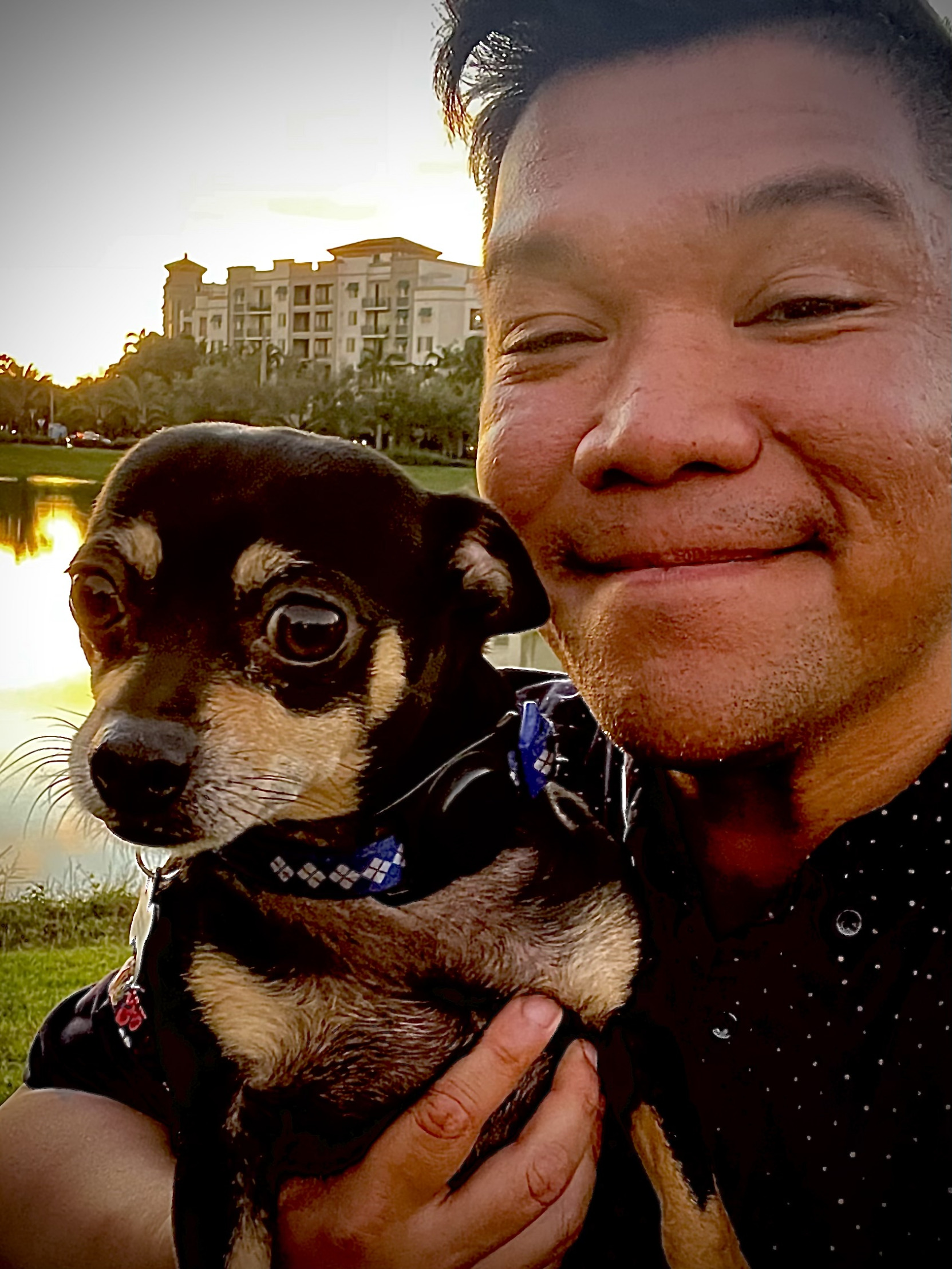 Taxes Blank Meme Template