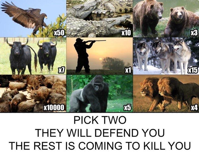 PICK TWO THEY WILL DEFEND YOU THE REST IS COMING TO KILL YOU Blank Meme Template
