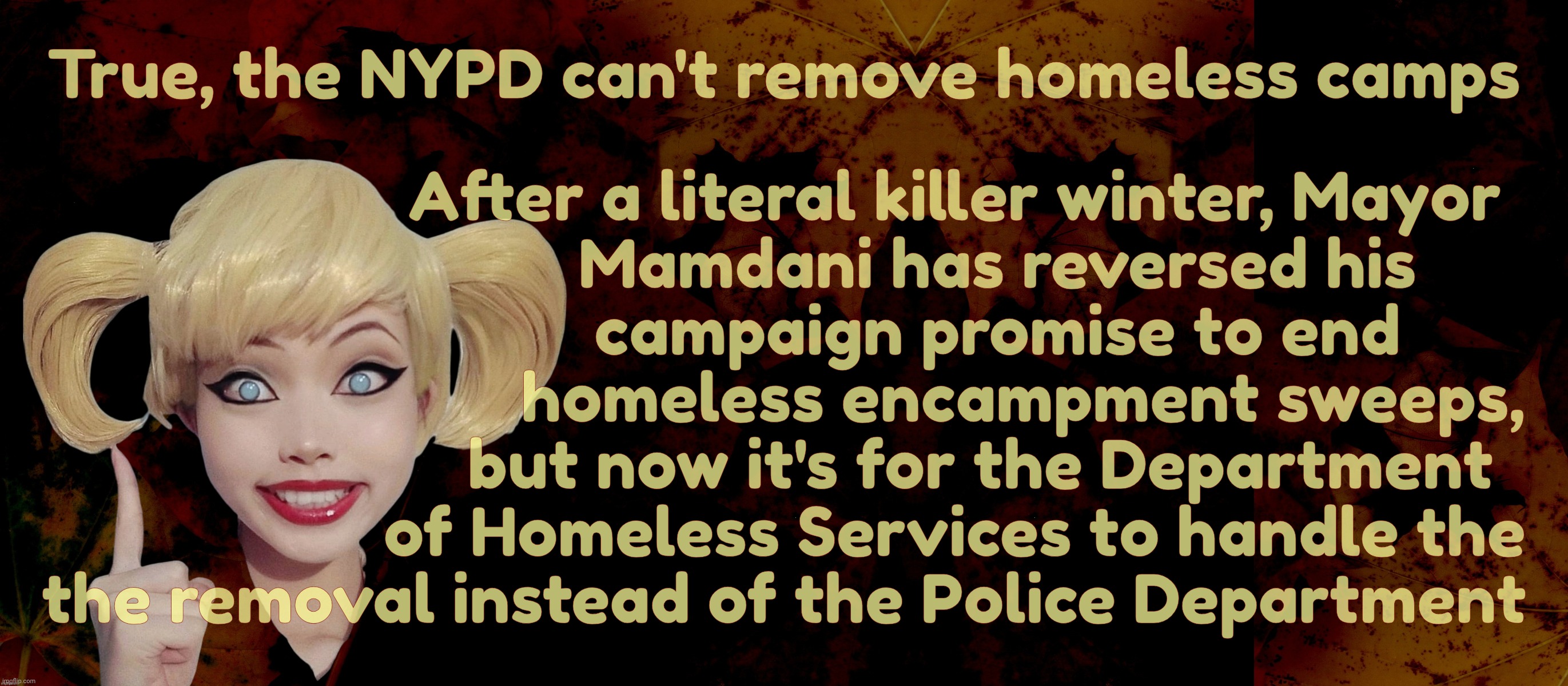 True, the NYPD can't remove homeless camps; After a literal killer winter, Mayor
                         Mamdani has reversed his
                         campaign promise to end
                            homeless encampment sweeps,
                       but now it's for the Department
                    of Homeless Services to handle the
the removal instead of the Police Department | image tagged in harley quinn | made w/ Imgflip meme maker