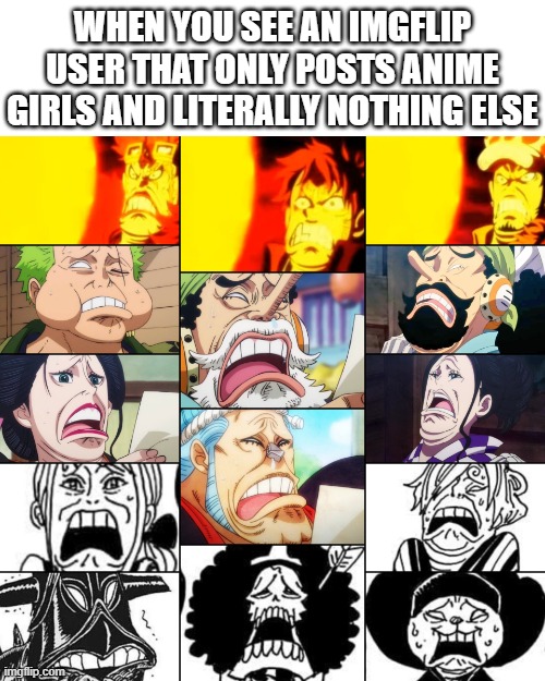 *signature look of disgustion* | when you see an imgflip user that only posts anime girls and literally nothing else | image tagged in one piece disgusted face,one piece,imgflip,zoro,luffy,law | made w/ Imgflip meme maker