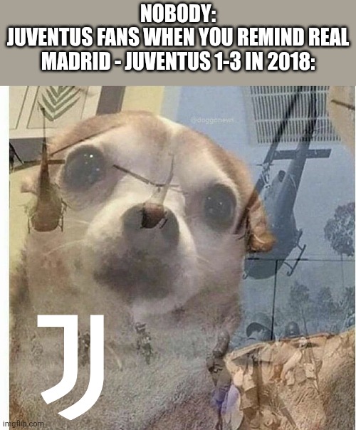 Yeah that was a robbery like Chelsea - Barcelona 1-1 back in 2009... | Nobody:
Juventus fans when you remind Real Madrid - Juventus 1-3 in 2018: | image tagged in ptsd chihuahua,juventus,real madrid,champions league,sports,memes | made w/ Imgflip meme maker