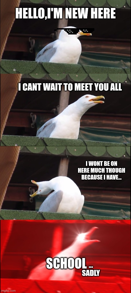 hello! | hello,i'm new here; I cant wait to meet you all; I wont be on here much though because I have... school; ...
sadly | image tagged in memes,inhaling seagull | made w/ Imgflip meme maker