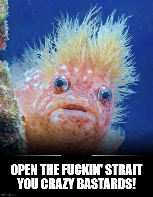open the strait! | open the fuckin' strait
you crazy bastards! | image tagged in funny memes | made w/ Imgflip meme maker