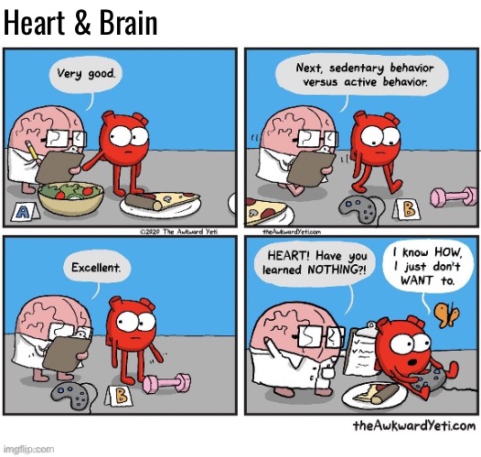 Motivation | Heart & Brain | image tagged in comics,the awkward yeti,heart and brain,tests,i dont want to,behavior | made w/ Imgflip meme maker