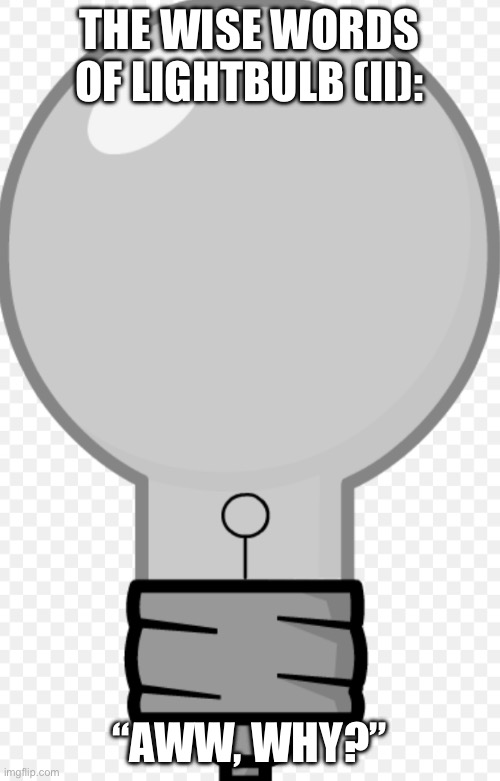 Lightbulb | The wise words of Lightbulb (II): “Aww, why?” | image tagged in lightbulb | made w/ Imgflip meme maker