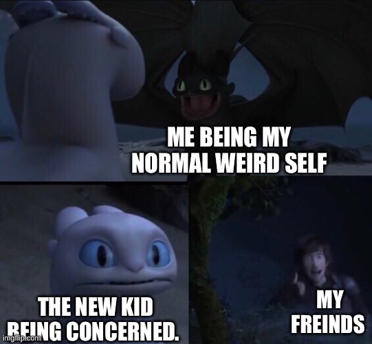 How to train your dragon 3 | Me being my normal weird self; My freinds; The new kid being concerned. | image tagged in how to train your dragon 3 | made w/ Imgflip meme maker