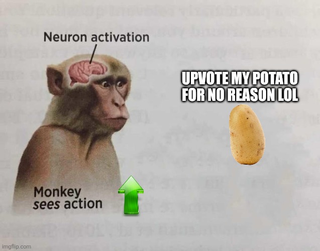 Imgflip for the last 7 years in a nutshell. | Upvote my potato for no reason lol | image tagged in monkey neuron activation | made w/ Imgflip meme maker
