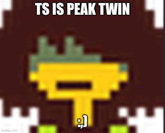 ts is peak twin :,) | made w/ Imgflip meme maker