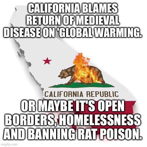 Democrats at their best | California Blames Return of Medieval Disease on 'Global Warming. Or maybe it's open borders, homelessness and banning rat poison. | image tagged in california | made w/ Imgflip meme maker
