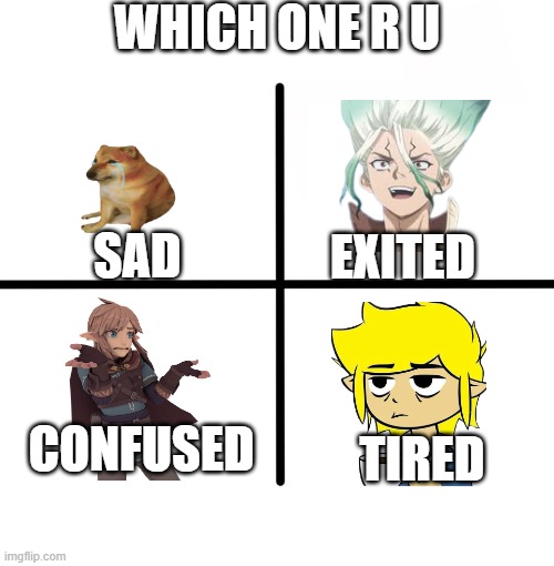 feel | Which one r u; exited; sad; confused; tired | image tagged in memes,blank starter pack | made w/ Imgflip meme maker