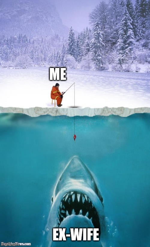 ice fishing | Me; Ex-wife | image tagged in ice fishing | made w/ Imgflip meme maker