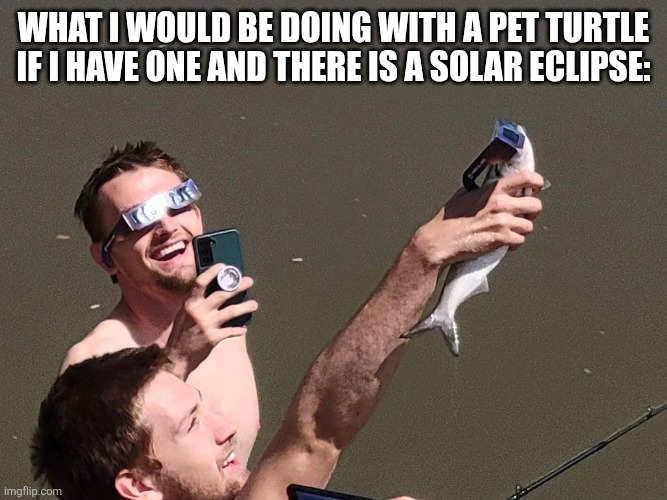 What I would be doing with a pet turtle if I have one and there is a solar eclipse: | image tagged in memes,turtle,eclipse | made w/ Imgflip meme maker
