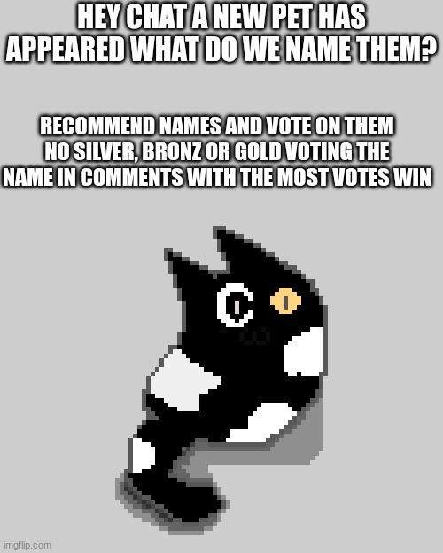 name this little fella also if you see a name you like in the comments, just reply to it with "✅" or somthing idk | hey chat a new pet has appeared what do we name them? Recommend names and vote on them no silver, bronz or gold voting the name in comments with the most votes win | made w/ Imgflip meme maker