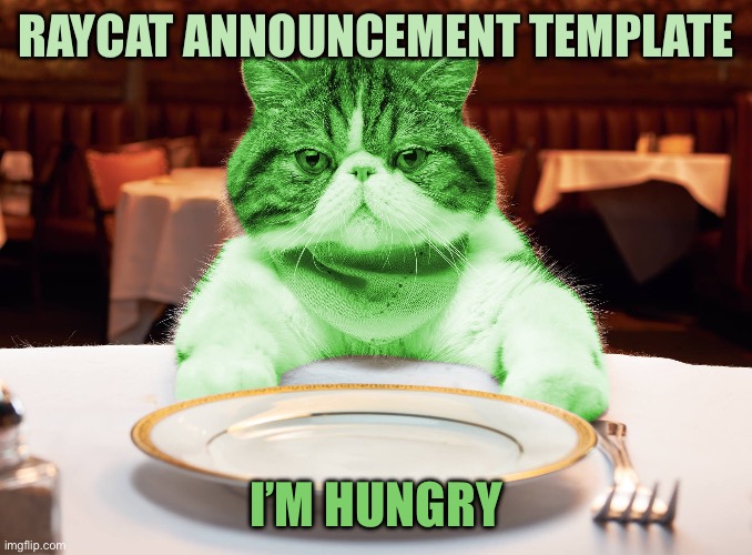 RayCat Hungry | RayCat announcement template; I’m hungry | image tagged in raycat hungry | made w/ Imgflip meme maker