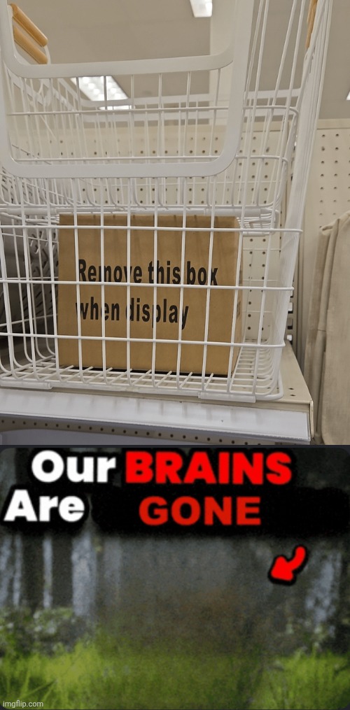 Shall remove box | image tagged in our brains are gone,box,boxes,display,memes,you had one job | made w/ Imgflip meme maker