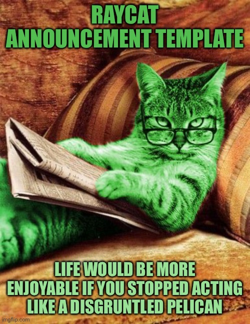 Factual RayCat | RayCat announcement template; Life would be more enjoyable if you stopped acting like a disgruntled pelican | image tagged in factual raycat | made w/ Imgflip meme maker
