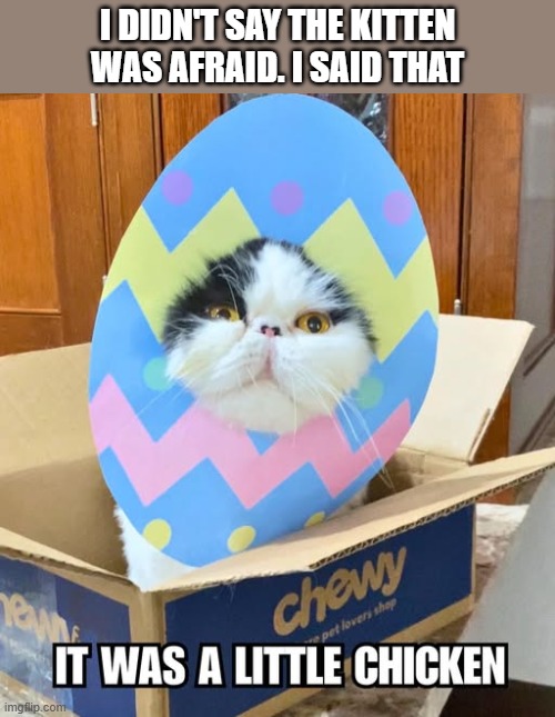 I didn't say that the kitten was afraid. I said that it was a little chicken. | I didn't say the kitten was afraid. I said that | image tagged in cat,kittens,funny,humor,play on words,easter | made w/ Imgflip meme maker