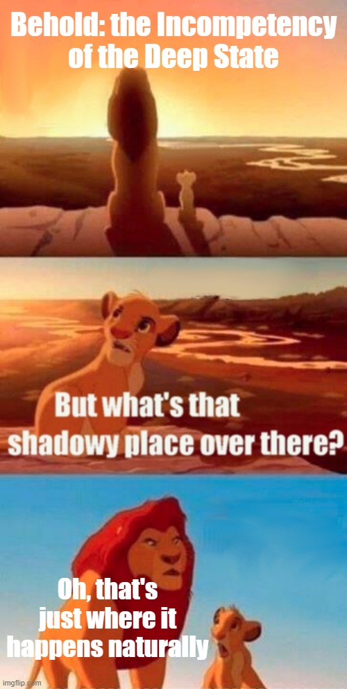 By Design | Behold: the Incompetency of the Deep State; Oh, that's just where it happens naturally | image tagged in memes,simba shadowy place | made w/ Imgflip meme maker