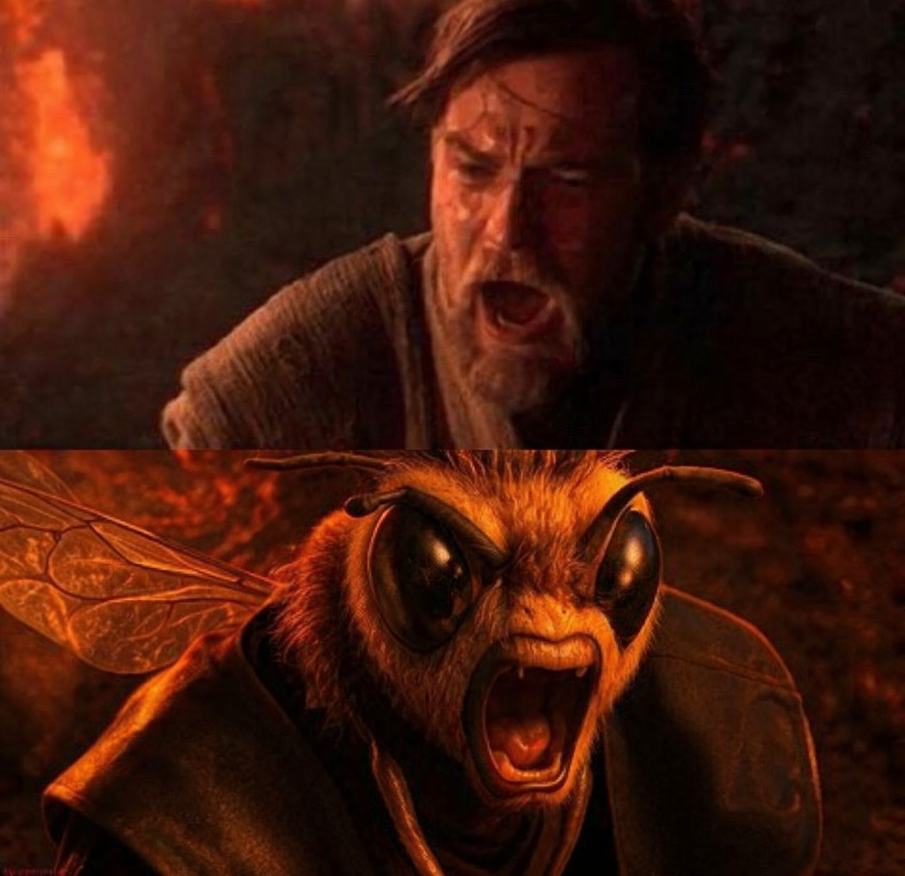 Bee anakin Blank Meme Template