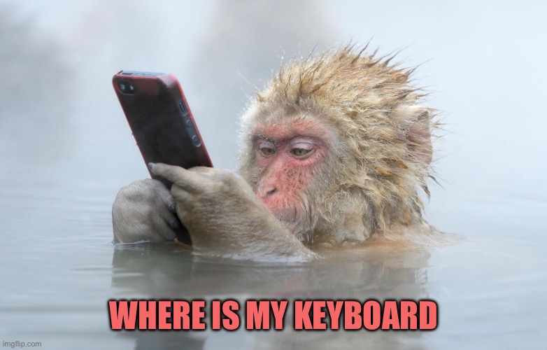 monkey in a hot tub with iphone | Where is my keyboard | image tagged in monkey in a hot tub with iphone | made w/ Imgflip meme maker