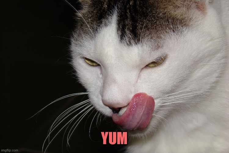 YUMMY | Yum | image tagged in yummy | made w/ Imgflip meme maker