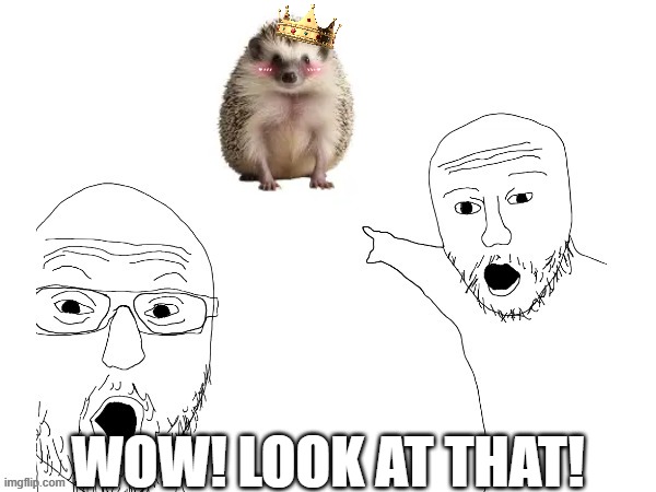 Why... It's me!!! | Wow! Look at that! | image tagged in hedgehog,spunky | made w/ Imgflip meme maker