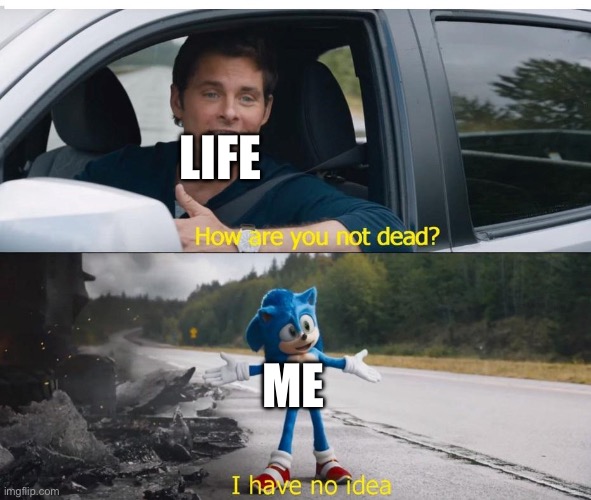 sonic how are you not dead | Life; Me | image tagged in sonic how are you not dead | made w/ Imgflip meme maker