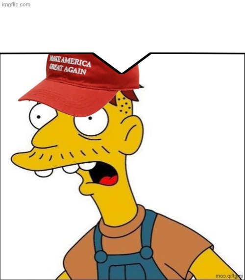 Some Kind Of MAGA Moron | image tagged in some kind of maga moron | made w/ Imgflip meme maker