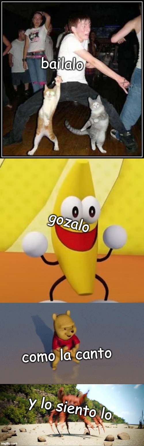 dikidikidikidakadakadakadakadaka | bailalo; gozalo; como la canto; y lo siento lo | image tagged in dancin'cats,dancin banana,winnie the pooh dancin,crab rave | made w/ Imgflip meme maker