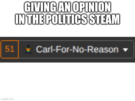 Opinions | Giving an opinion in the politics steam | image tagged in blank white template,oh wow are you actually reading these tags | made w/ Imgflip meme maker