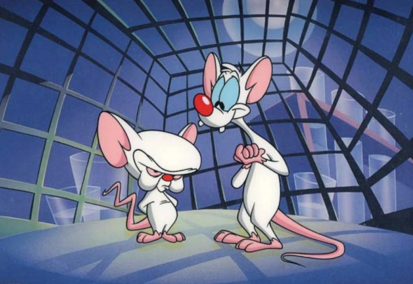 Pinky y cerebro Blank Meme Template