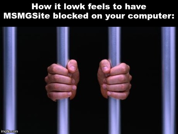 rah. | How it lowk feels to have MSMGSite blocked on your computer: | image tagged in prison bars | made w/ Imgflip meme maker