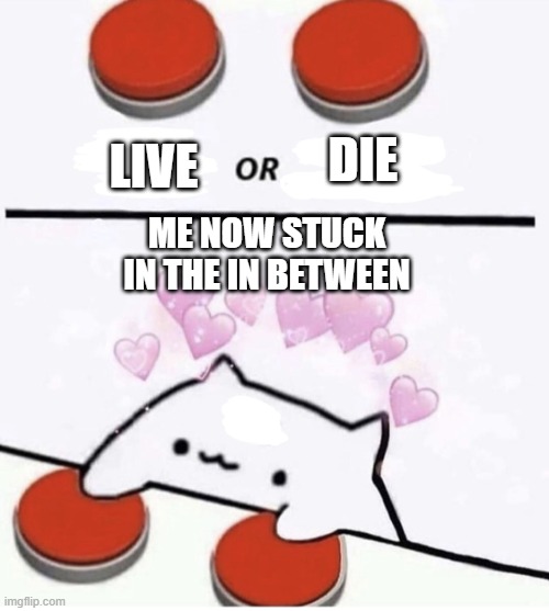 cat | die; live; me now stuck in the in between | image tagged in cat pressing two buttons | made w/ Imgflip meme maker