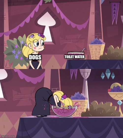 Star Butterfly Shoving her Face into the Juice Bowl | Toilet Water; Dogs | image tagged in star butterfly shoving her face into the juice bowl | made w/ Imgflip meme maker