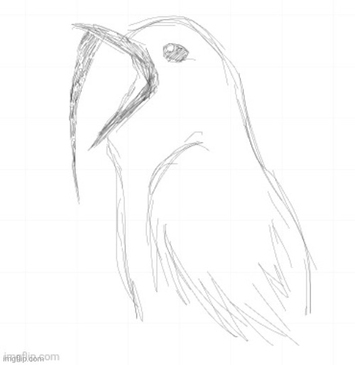 Made some more bullshitttt!!!!! White bellbird | image tagged in birds,drawing | made w/ Imgflip meme maker