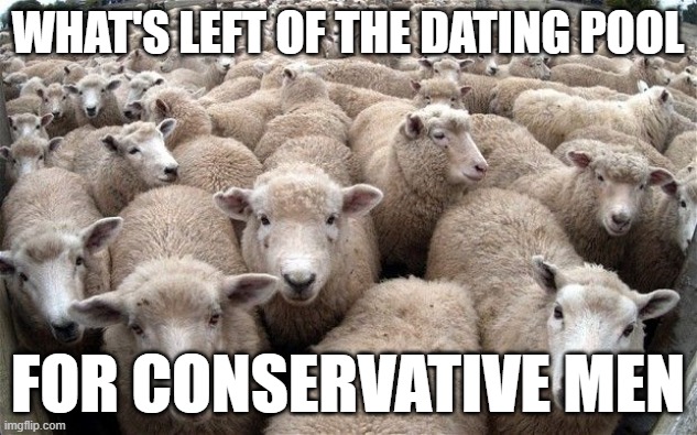 I mean, it is. | What's left of the dating pool; for conservative men | image tagged in sheeple,conservative,maga,incels | made w/ Imgflip meme maker