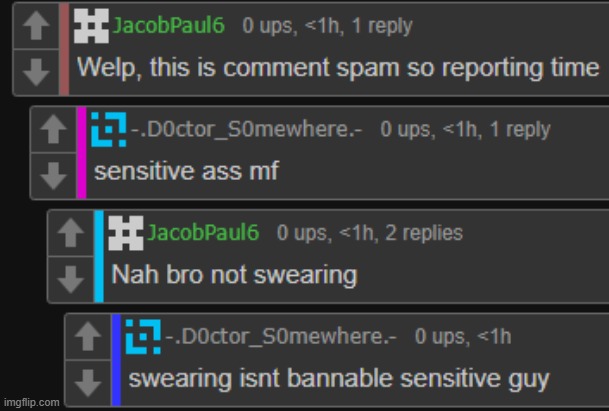 its really only bannable if its a slur | made w/ Imgflip meme maker